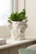 Next Dekovase Vase in Kopfform Hochlandrind Beige Bild 4