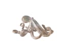 MF Oktopus Dekofigur Marinus Handbemalt Braun 32cm Bild 5
