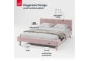 FDM Polsterbett ZUZA mit Bettkasten Rosa Velours Bild 3