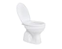 Belvit Tiefspül-WC BV-SW4001+BV-D0400 Stand-WC mit Softclose Bild 1
