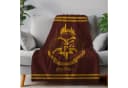 Harry Potter Hogwarts Wappen Flauschdecke 130x160 cm AY!Max Bild 1