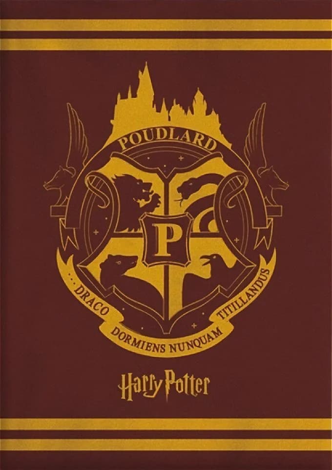 Harry Potter Hogwarts Wappen Flauschdecke 130x160 cm AY!Max - Bild 4