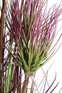 Botanic-Haus Zyperngrasbusch Bunt Grün Burgund Kunstgras Bild 1