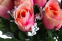 Botanic-Haus Kunstblume Rosenstrauß 36 Rosen Rosa Bild 3