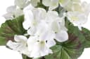 Kunstblume BOTANIC-HAUS Geranienbusch Beige Creme Weiß Bild 1