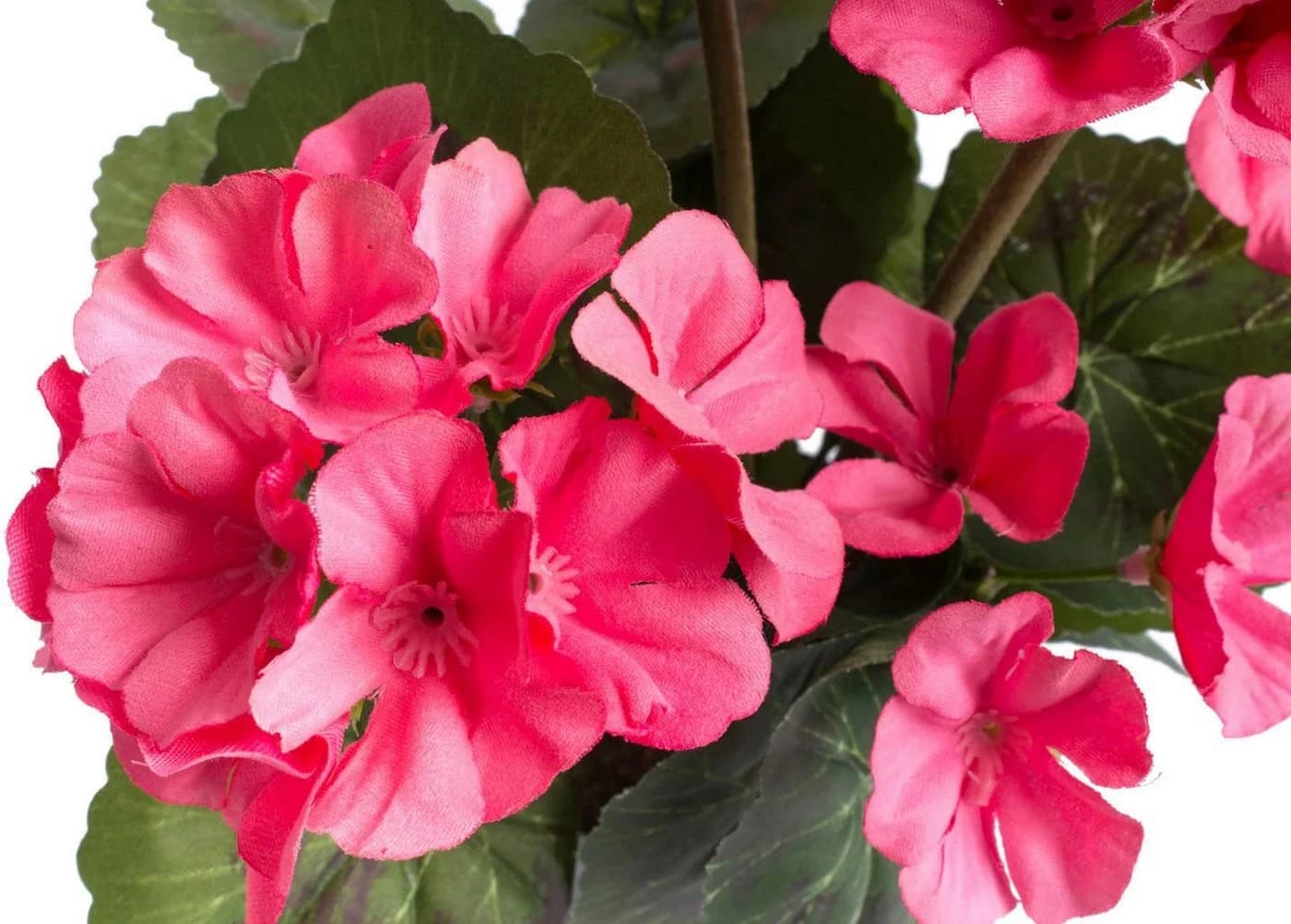 Botanic-Haus Kunstblume Geranienbusch 6 Blütenköpfe Pink
