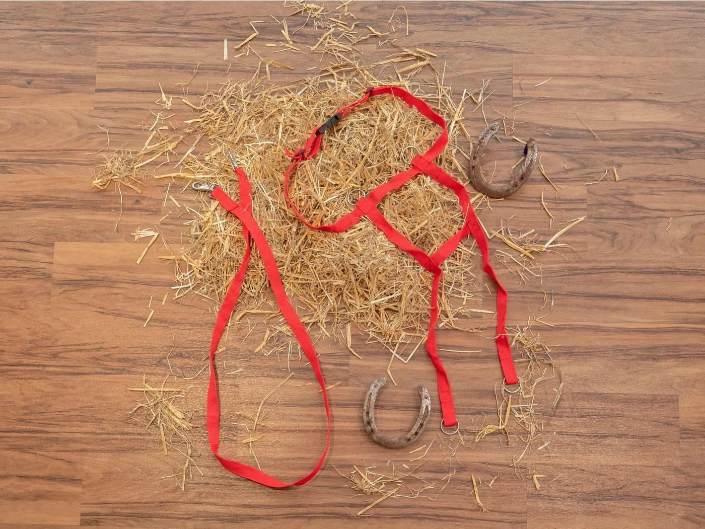 Betzold Outdoor-Spielzeug Pferdegeschirr für Kinder Rot