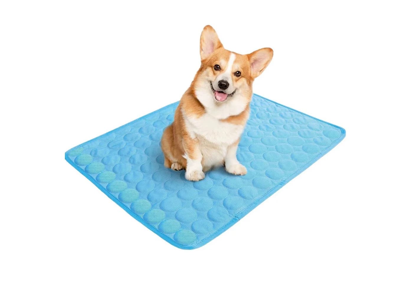 Kaket Hundematte Kühlmatte blau für Drinnen, Draußen und Auto - Bild 2