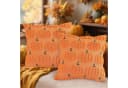 CLTYQ Kissenbezug Herbst Kürbis Orange Kunstfell 45x45 cm 2er-Set Bild 1