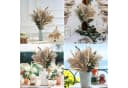 Coonoor Trockenblumen Set 89 STK Pampasgras Deko Boho Bild 1