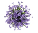 Coonoor Kunstblumenstrauß 3er Set Geranie UV-beständig Bild 1