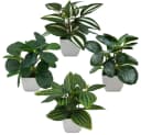 Coonoor Kunstpflanze 4er Pack Kleine Topfpflanze Grün Bild 2