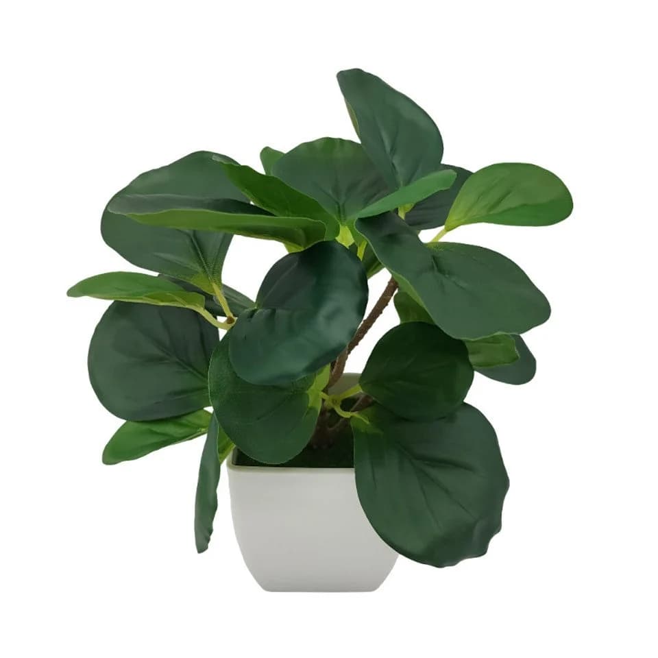Coonoor Kunstpflanze 4er Pack Kleine Topfpflanze Grün - Bild 5