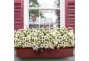Coonoor Kunstblumenstrauß Herbst Chrysanthemen UV-beständig Bunt Bild 1