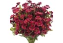 Coonoor Kunstblumenstrauß Herbst Chrysanthemen UV-beständig Bunt Bild 2