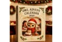 CLTYQ Adventskalender Eulen-Adventskalender 2025 24-tägiger Weihnachtskalender Flaches Muster 24 Geschenke mit Mini-Eulenfiguren Bild 3