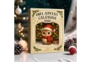 CLTYQ Adventskalender Eulen-Adventskalender 2025 24-tägiger Weihnachtskalender Flaches Muster 24 Geschenke mit Mini-Eulenfiguren Bild 4