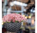 Minicloss Kunstpflanze 6er Set Rosa Wetterfest Bild 4