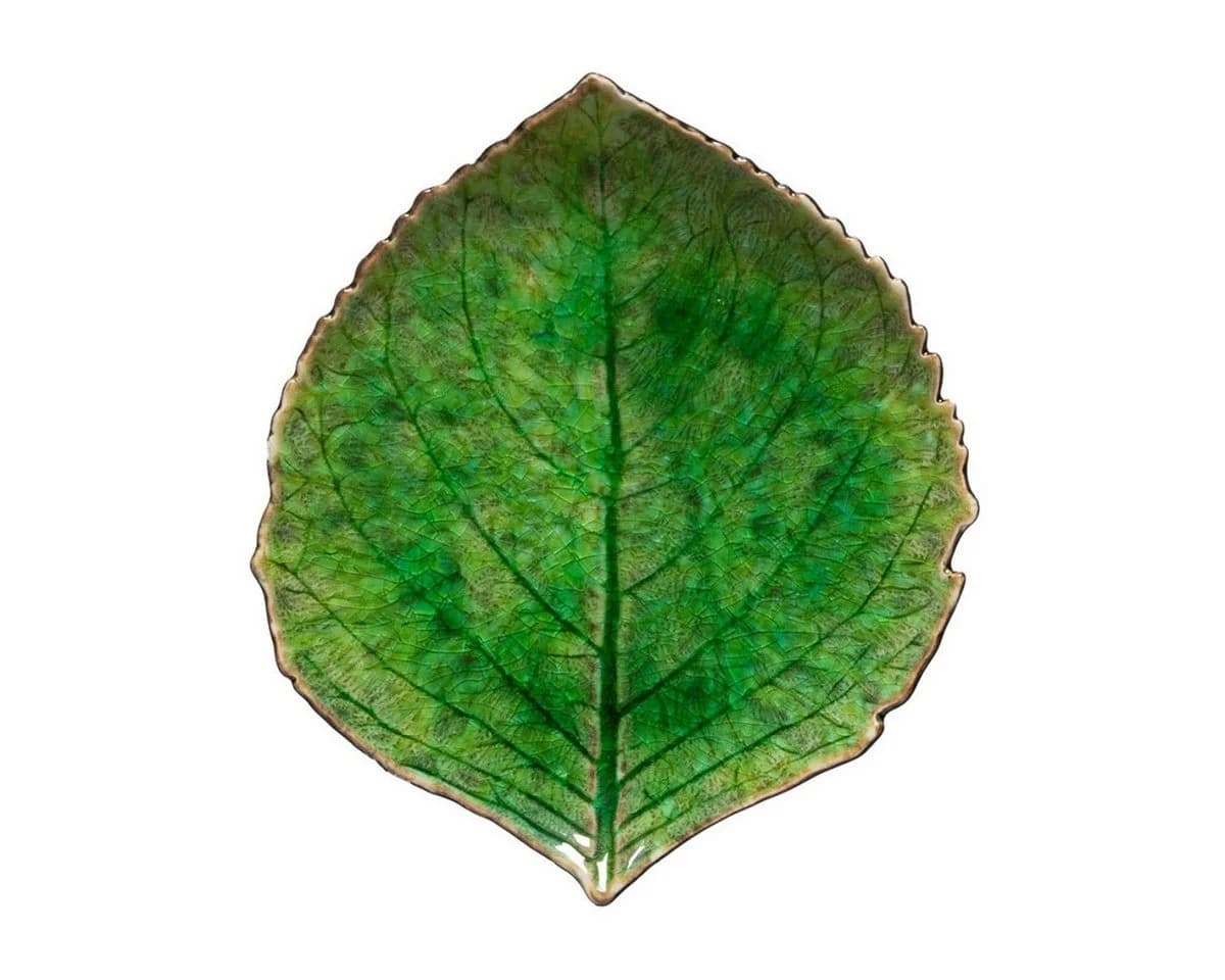 Costa Nova Vorspeisenteller Blatt-Form Hydrangea Leaf Grün Steinzeug - Bild 2