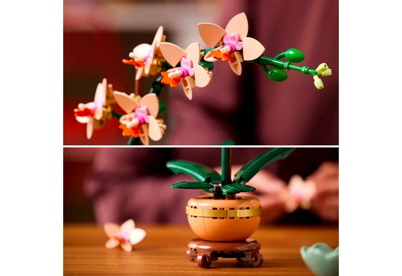 LEGO Mini-Orchidee 10343 Bunt 274 Teile Konstruktionsspielsteine - Bild 5