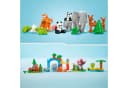 LEGO Wildtier-Familien 3-in-1-Set (10446) bunt Bild 5