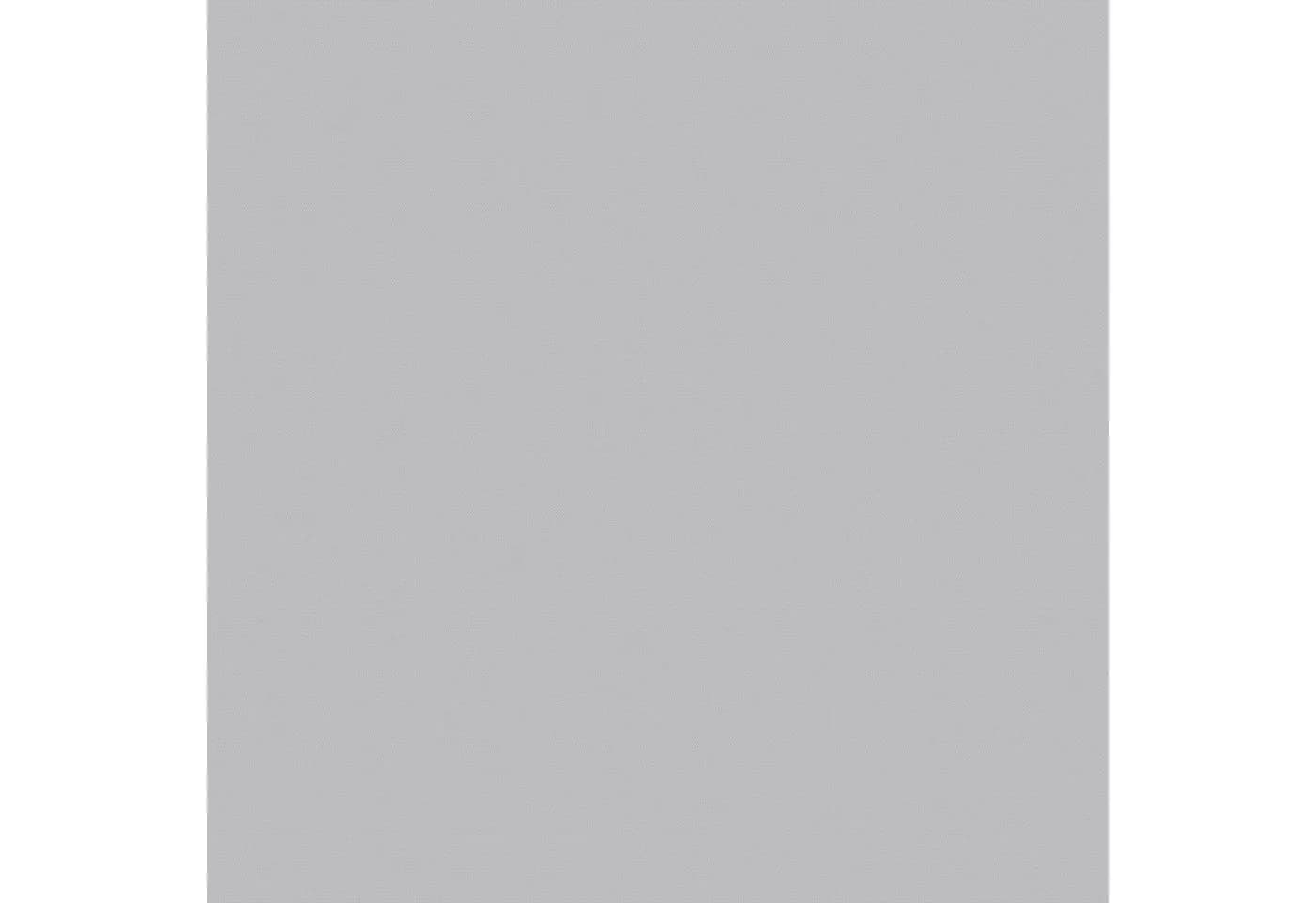 VELUX Verdunklungsrollo DBL M06 4204 Grau Ohne Bohren