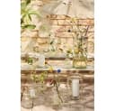 Ib Laursen Blumenvase Anna Transparent Glas 10cm Bild 4