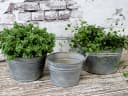 Chic Antique 3er Set Blumentöpfe Grau mit Griffen Bild 1