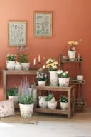 Chic Antique Avignon Kanne mit Blumenmotiv Beige Keramik Bild 4
