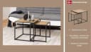 ACTONA GROUP Couchtisch Seaford Wildeiche-Optik Stahl 2-Teil-Set Bild 1