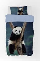 BrandMac Bettwäsche Panda Bär 100% Baumwolle Schwarz/Weiß Bild 2