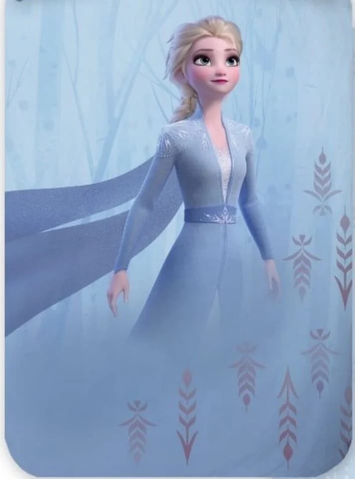 BrandMac Disney Frozen Bettwäsche Die Eiskönigin Wendebettwäsche 100% Baumwolle - Bild 3
