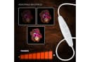 Forever Light LED Neon Art Wandkunst Dekolicht mit Dimmfunktion Bild 4