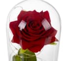 RUHHY LED Rose im Glas mit Glaskuppel und Geschenkbox Bild 3
