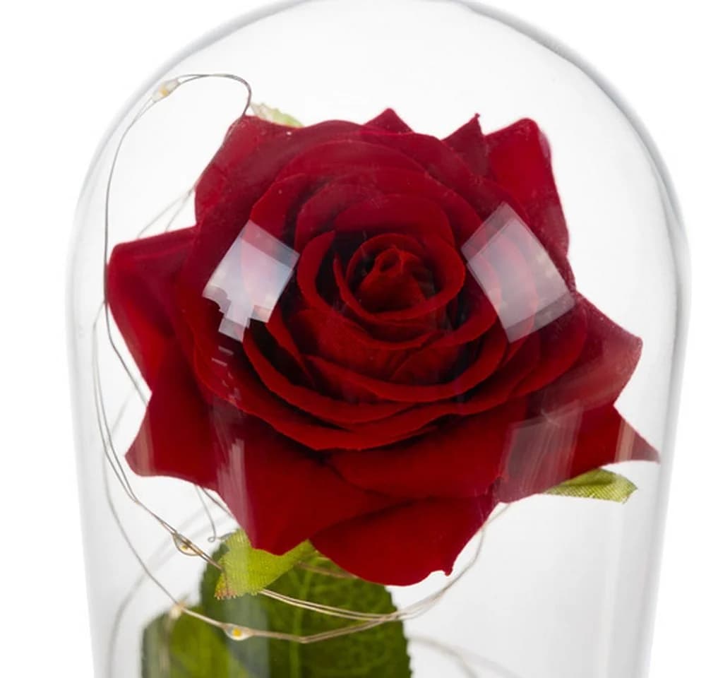 RUHHY LED Rose im Glas mit Glaskuppel und Geschenkbox - Bild 3