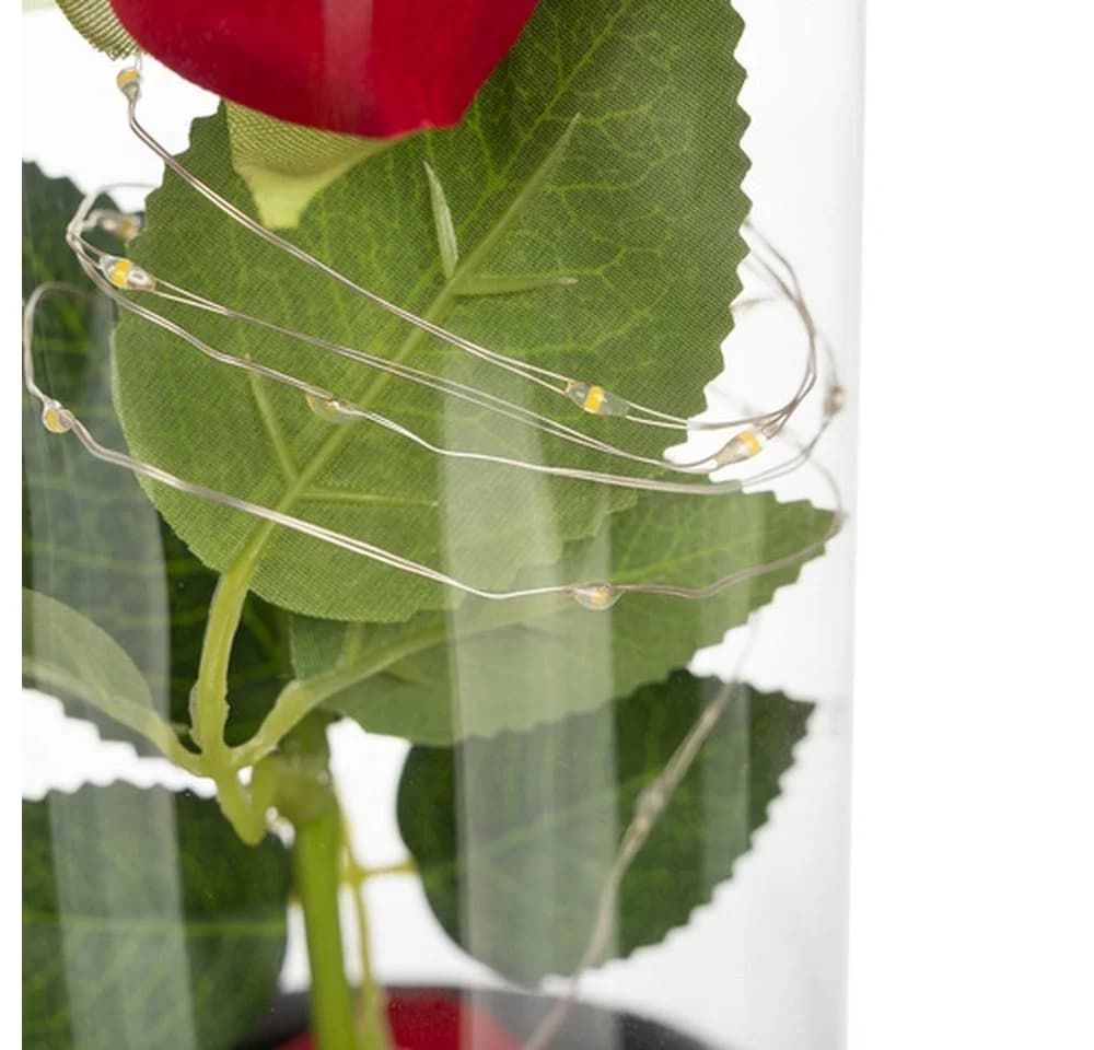 RUHHY LED Rose im Glas mit Glaskuppel und Geschenkbox - Bild 5