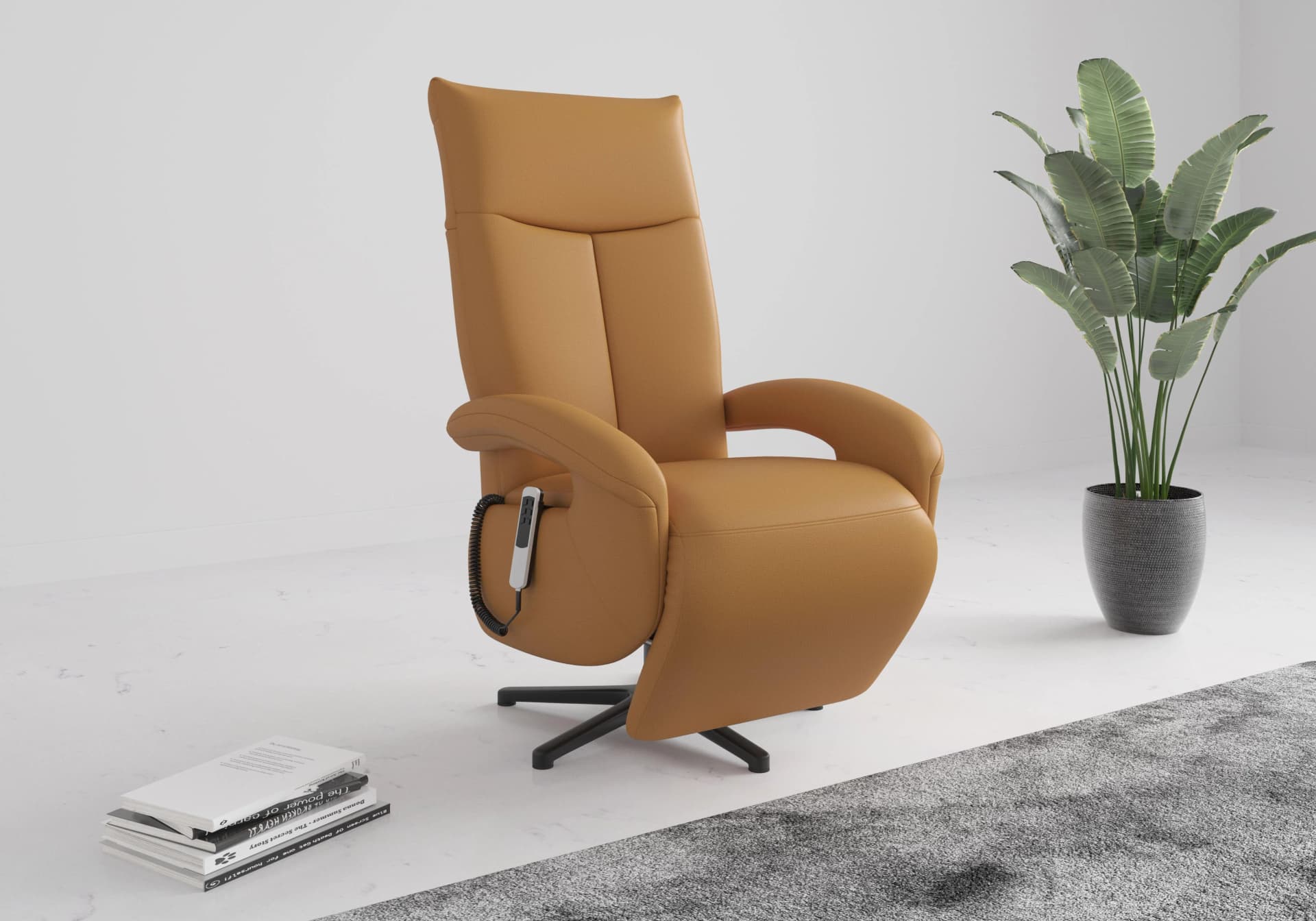 SIT & MORE TV-Sessel Amica Curry mit Kopfteilverstellung & Aufstehhilfe