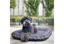 RelaxXL Hundekissen LUNA Orthopädisch Outdoorgewebe Taupe Bild 1