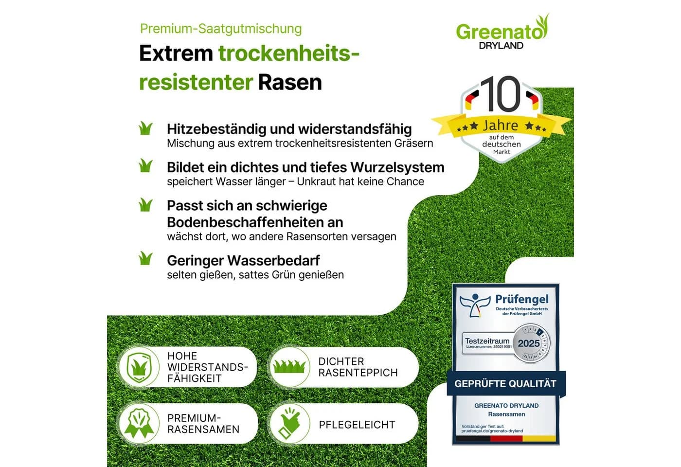 Greenato Dryland Rasensamen 1kg Dürreresistent