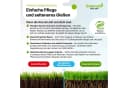 Greenato Dryland Rasensamen 1kg Dürreresistent Bild 4
