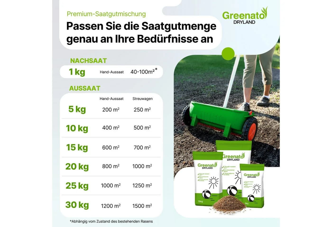 Greenato Rasensamen Dryland Dürreresistenter Trockenrasen 5 kg - Bild 3