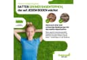Greenato Rasensamen Dryland Dürreresistenter Trockenrasen 5 kg Bild 5