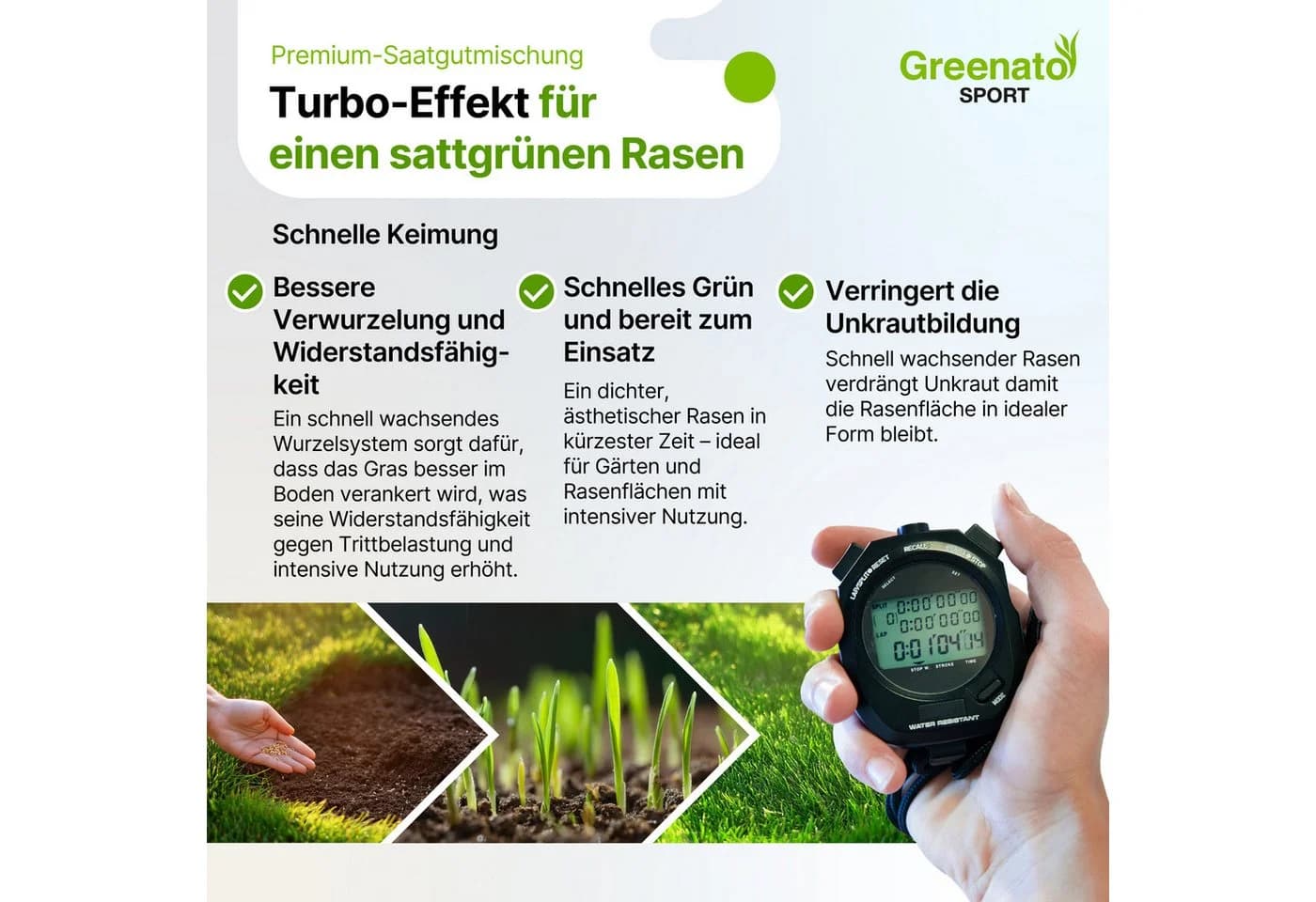 Greenato Rasensamen Sport und Spielrasen - Grassamen schnellkeimend, 15 kg - Bild 4