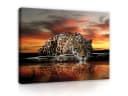 Wallarena Leinwandbild Tiger Tiere Afrika Natur Orange Modern XXL Bild 2