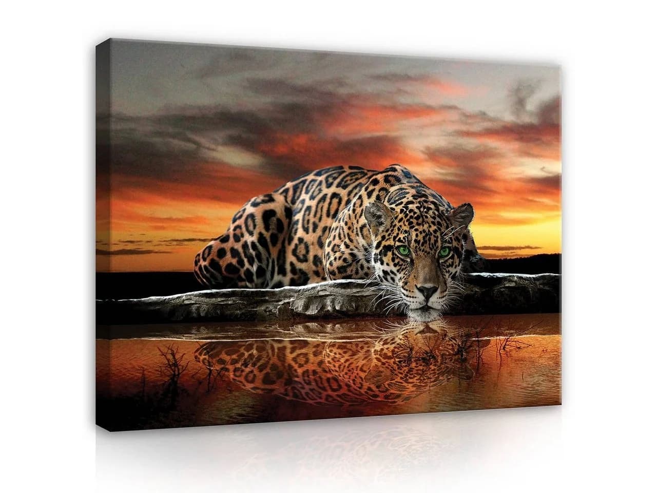 Wallarena Leinwandbild Tiger Tiere Afrika Natur Orange Modern XXL - Bild 2