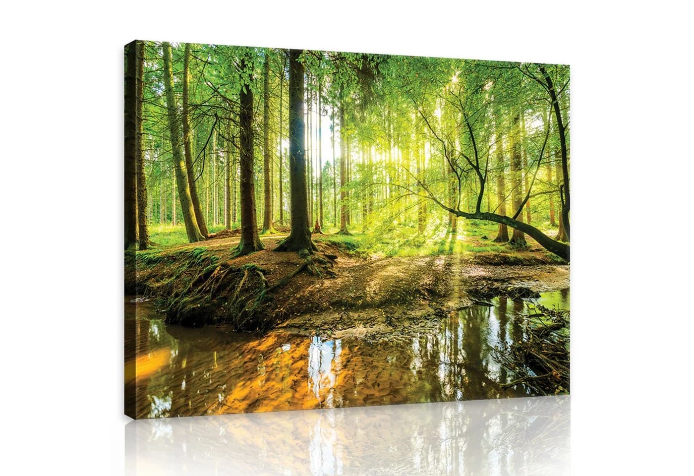 Wallarena Leinwandbild Wald Sonne Natur Grün Modern - Bild 2
