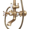 wohnwerk.idee Duschsystem Bergamo Antik-Gold Retro Regendusche mit Handbrause Bild 5