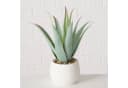 Kunstpflanze Aloe MONDRAGO 29 cm - BOLTZE GRUPPE Bild 1