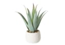 Kunstpflanze Aloe MONDRAGO 29 cm - BOLTZE GRUPPE Bild 2