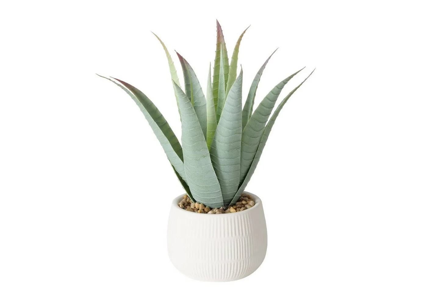 Kunstpflanze Aloe MONDRAGO 29 cm - BOLTZE GRUPPE - Bild 2